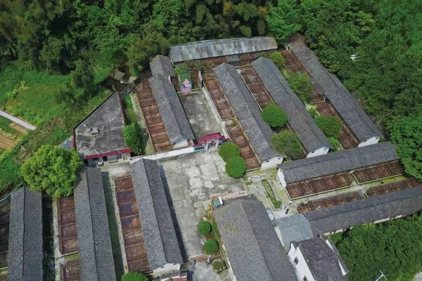 1只10萬！西方媒體炒作中國用實驗猴卡美國“脖子”，它有多難養?