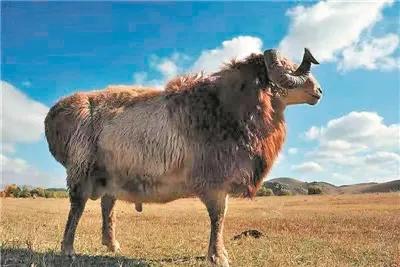 新疆遊記：何時來一次說走就走的旅行？