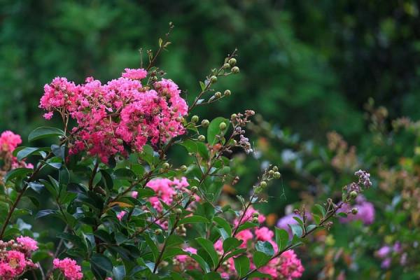 天秤座女生2022年運勢詳解，不斷提高個人能力，用實力證明自己