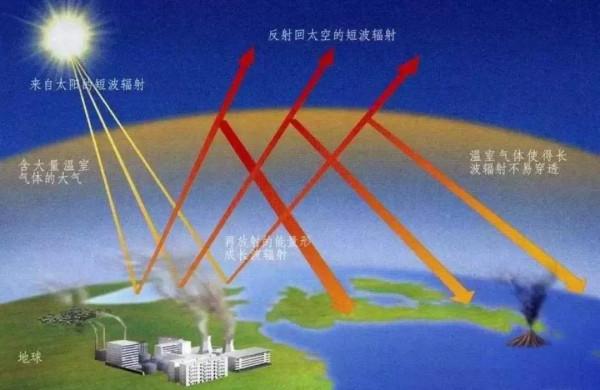 地球被恐龍稱霸前,地球出現過的統治者是誰?科學家給出分析 地球被恐龍稱霸前,地球出現過的統治者是誰?科學家給出分析