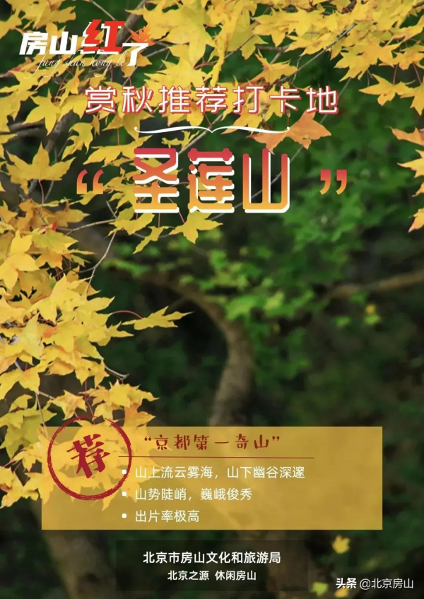 秋意濃,房山紅 !這鄉鎮三處迷人秋景齊亮相! 秋意濃,房山紅 !這鄉鎮三處迷人秋景齊亮相!