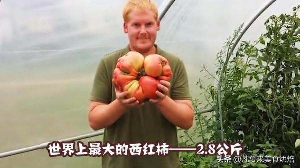 盤點18種全球最大的水果、蔬菜,都是常見的,卻大到讓人瞠目結舌 盤點18種全球最大的水果、蔬菜,都是常見的,卻大到讓人瞠目結舌