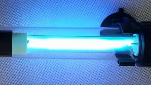 如何解決魚缸水綠的問題