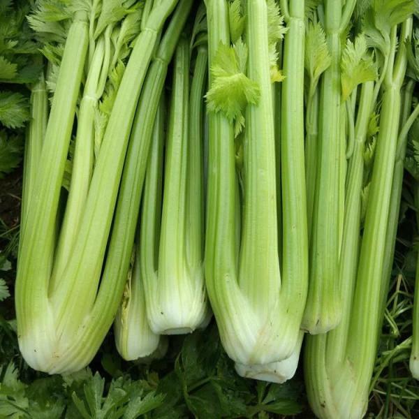 入冬後記得給孩子吃10種食物，對牙齒有益，價格不高，人人買得起