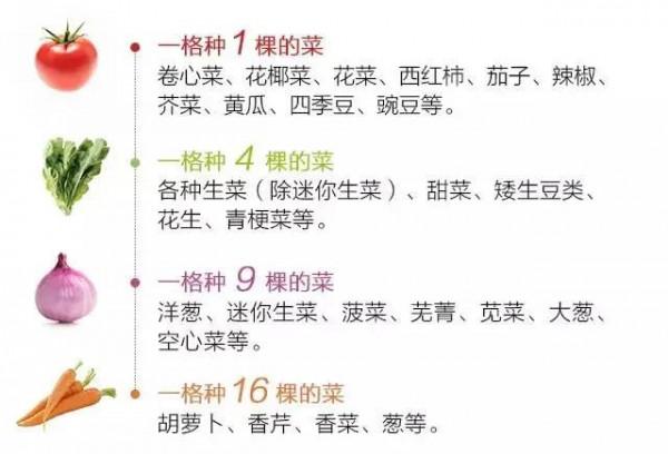 1.44平米就能養活一個人？