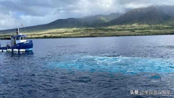 乘風破浪觀賞巨鯨 海底探險博覽魚群