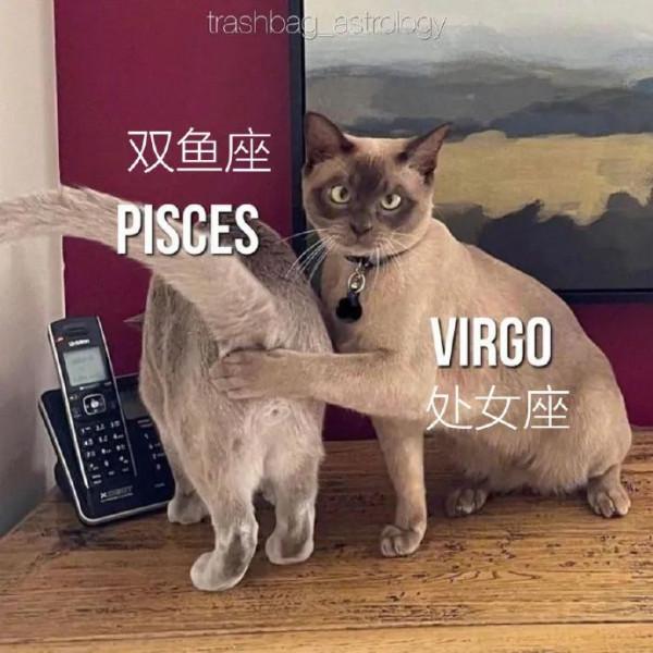 （星梗）星座meme合集1&period;25-2&period;18