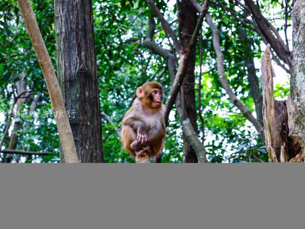 國內世界自然遺產一共只有十四個,貴州湖南這個經典線路包含兩個 國內世界自然遺產一共只有十四個,貴州湖南這個經典線路包含兩個