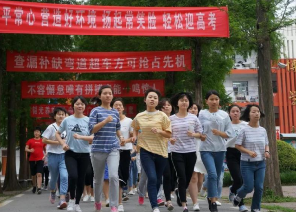 高中辛苦努力三年，考不上一本很丟人？本科錄取率告訴你真相