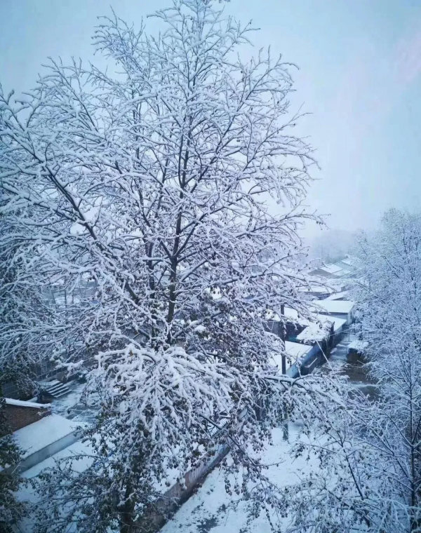 元旦不知道去哪裡玩，來青海看雪吧