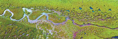 奔騰瀾滄江水 秀美生態環境 奔騰瀾滄江水 秀美生態環境