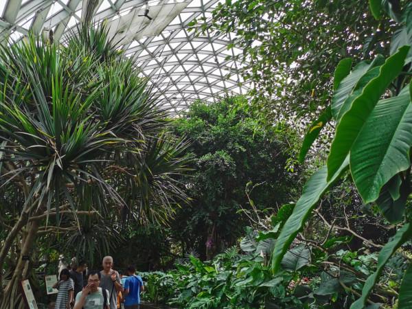 來上海玩除了迪士尼,這些能漲知識的溜娃聖地,每個家長都應收藏 來上海玩除了迪士尼,這些能漲知識的溜娃聖地,每個家長都應收藏