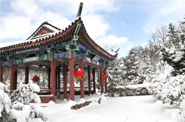 翔海森林小鎮：冬季到龍口來看雪，美哭嘞