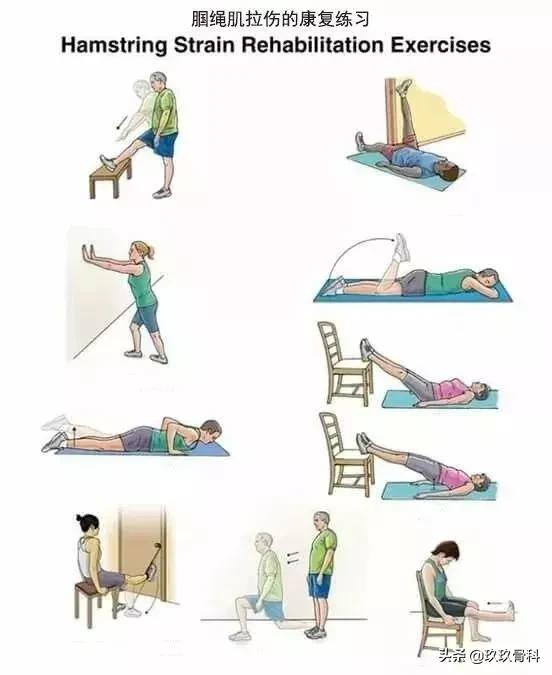10套頸、肩、背、腰、腿的疼痛康復練習序列