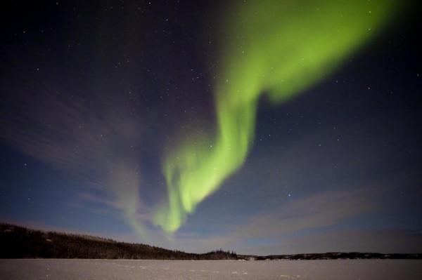 活動回顧｜感受冬日萌動自然，雲遊生態“加”境