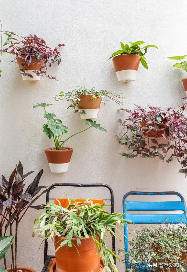 她曬出99㎡雜貨鋪一樣的小家，拒絕斷舍離，另類中帶著歲月靜好