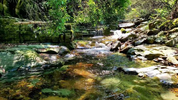 貴州有個滿滿負氧離子景點，號稱洗肺天堂，一個來了不想走地方