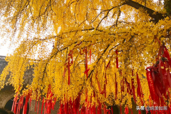 安徽秋遊,五個自駕推薦地|去趕赴秋天的盛會 安徽秋遊,五個自駕推薦地|去趕赴秋天的盛會
