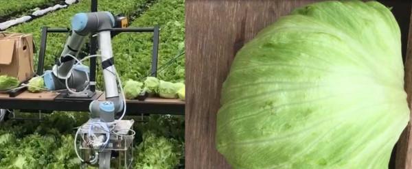 智慧農業的未來——5款人工智慧農業機器人 智慧農業的未來——5款人工智慧農業機器人