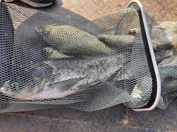 北京出發自駕太平湖，圓夢釣魚人