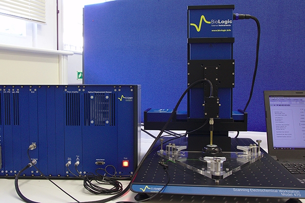 研究人員透過直接觀察西格瑪孔完成了成像