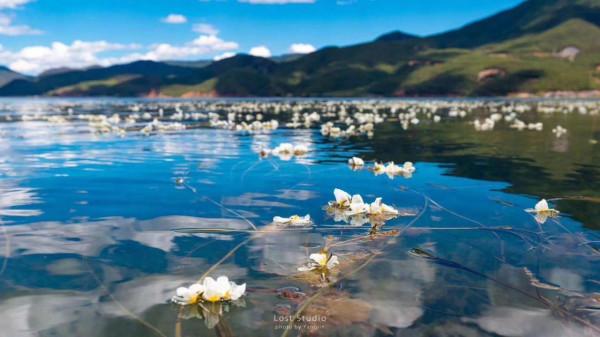 國慶節瀘沽湖之行 國慶節瀘沽湖之行