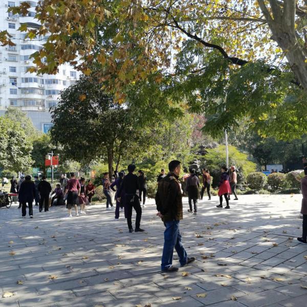 歡樂的紫舞公園