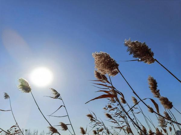 散文:《我的老妻》 散文:《我的老妻》