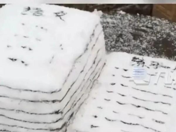 真正適合孩子看的電影是《這個殺手不太冷靜》