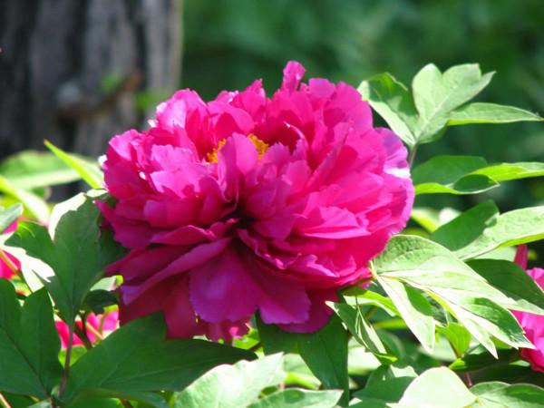 國學成語故事（4）抬頭看天第一人，列入國家非遺之杞人憂天