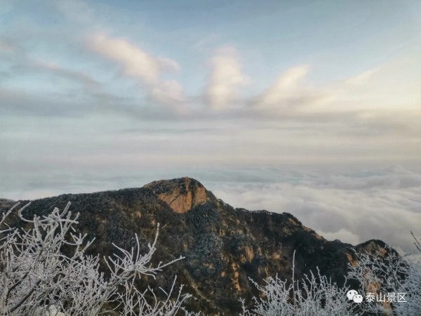 雲海伴霧凇，共賞團圓美景