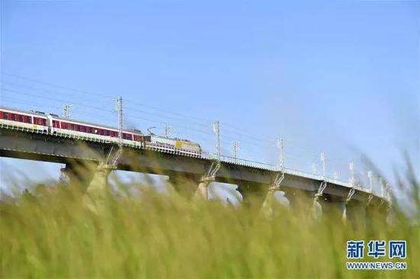 走進非洲 | 衣索比亞的香氣:咖啡與鮮花 走進非洲 | 衣索比亞的香氣:咖啡與鮮花