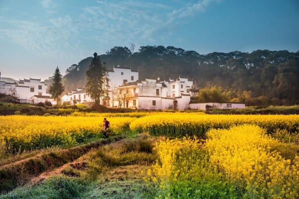 入選“最美中國符號”，被央視熱贊，現在來賞秋正當時