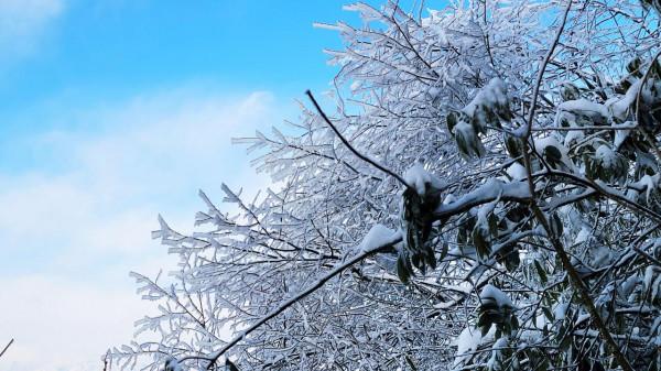 在家觀冬奧 聯想冰雪記憶