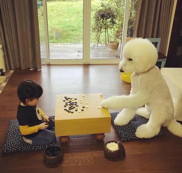 日本奶奶分享小孫女和三隻大狗狗的日常，治癒了56萬+網友…