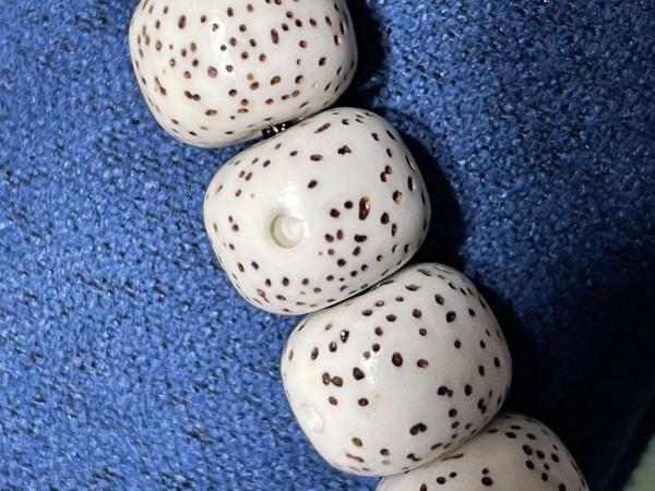 便宜星月菩提如何選?便宜的就不能盤嗎 便宜星月菩提如何選?便宜的就不能盤嗎