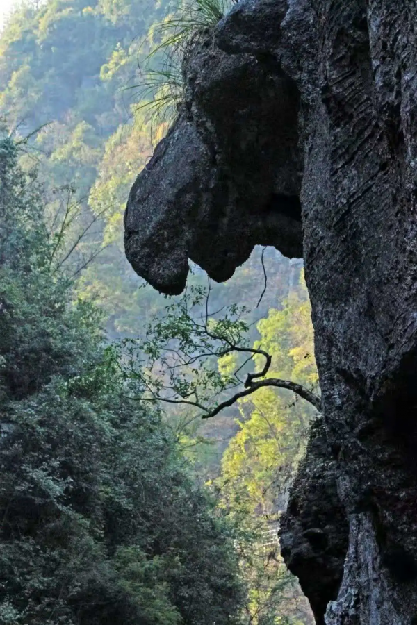 地心探秘exploration