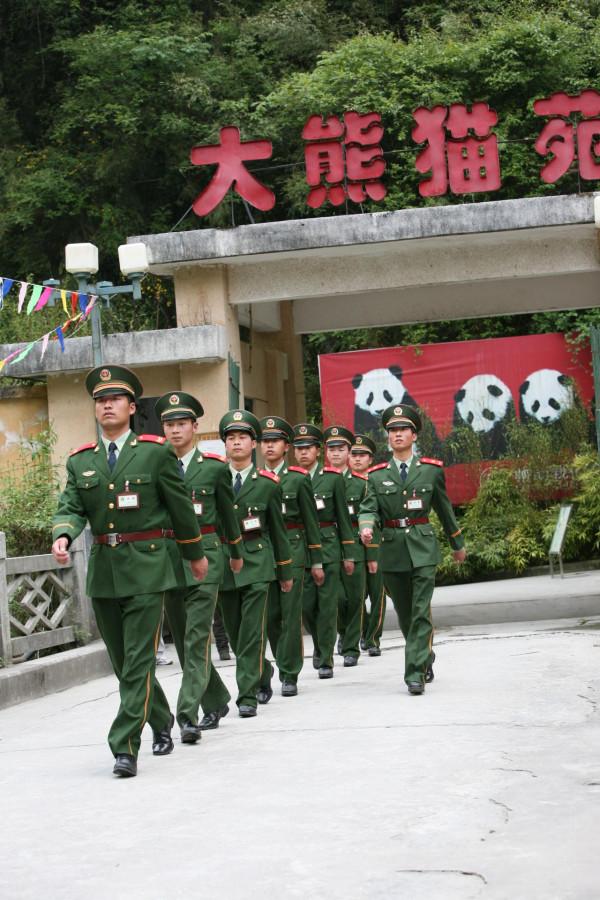 我和國寶大熊貓的N次親密接觸