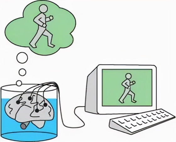 駭客帝國「缸中之腦」有眉目了?培養皿中百萬人腦細胞學會打乒乓 駭客帝國「缸中之腦」有眉目了?培養皿中百萬人腦細胞學會打乒乓