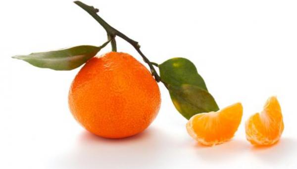 “轉骨趁秋天”，秋天孩子吃什麼長高快，家長不用動腦跟著吃