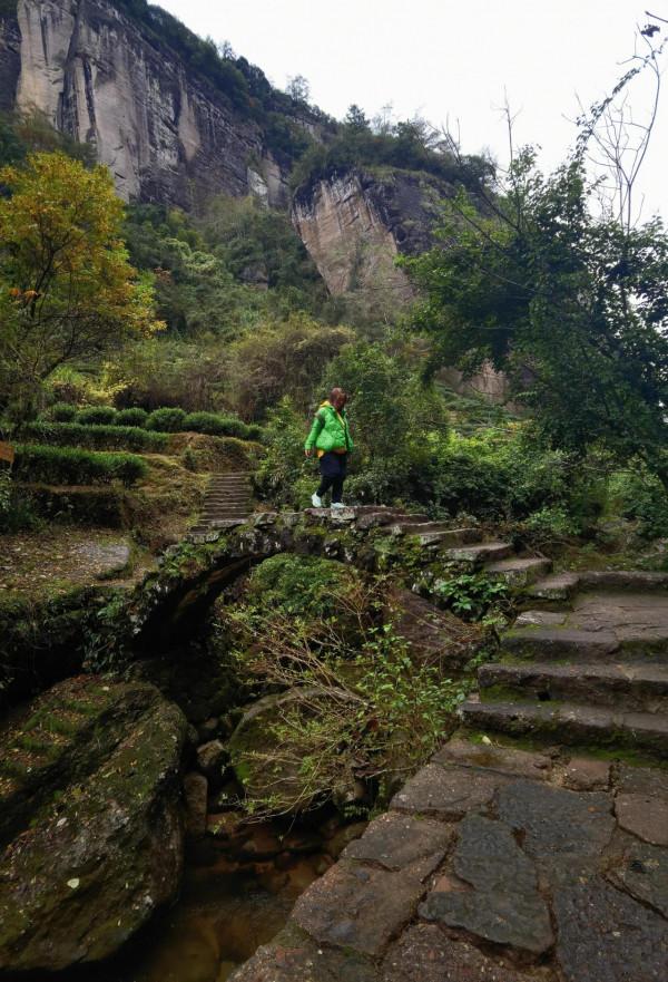 我的旅程日記：武夷山之旅D2漫遊茶骨花香漫遊道