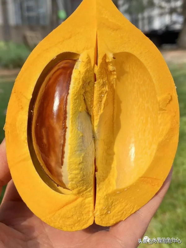網友評選出“最難吃的水果”，你吃過幾種？