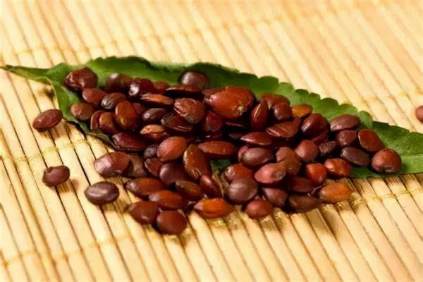 困了？累了？你有慢性疲勞綜合徵嗎？