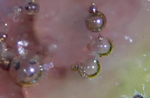 古陶瓷鑑賞術語圖文解析（二）