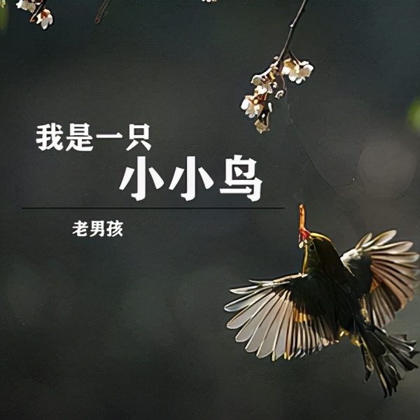 NBA紀實連載66:NBA最牛小人物,喬丹的專車司機如何逆襲內務總管 NBA紀實連載66:NBA最牛小人物,喬丹的專車司機如何逆襲內務總管