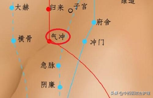 「中醫養生」拍打腹股溝，胖子減肥，瘦人增重