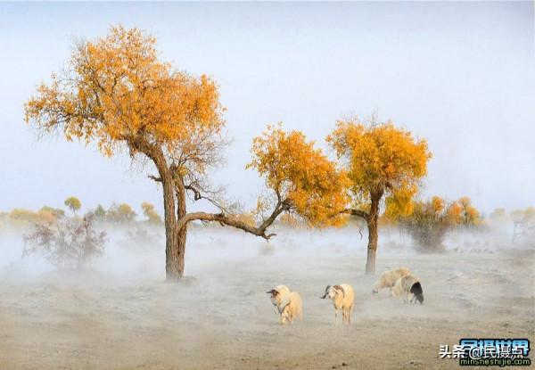 新疆南疆旅遊線路 最佳攝影線路