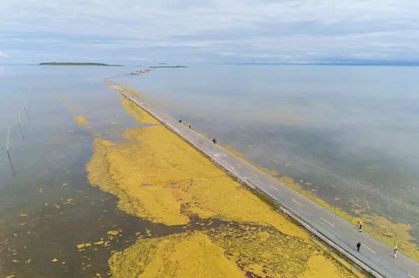 標緻4008環青海長測Day9：鳥島叫“蚊子島”，沿青海沿線達剛察！