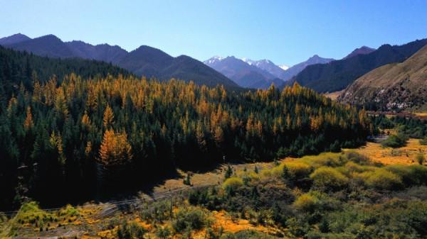 甘肅肅南：如詩如畫秋意濃