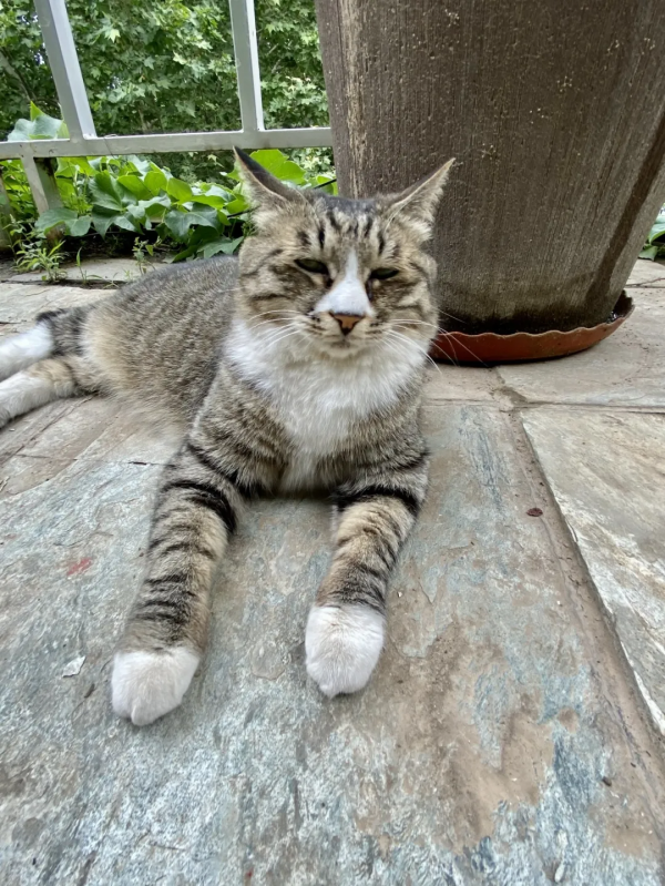 小廢貓要鹹魚翻身了咩? 小廢貓要鹹魚翻身了咩?